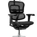 Scaun ergonomic Ergohuman