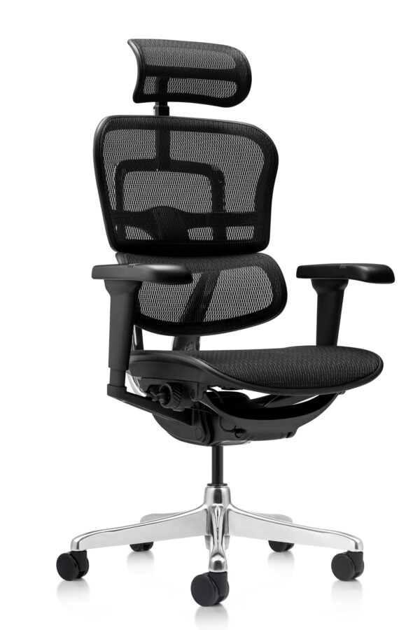 Scaun ergonomic Ergohuman
