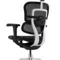 Scaun ergonomic Ergohuman (4)