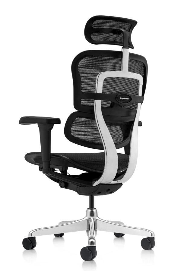 Scaun ergonomic Ergohuman (4)