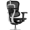 Scaun ergonomic Ergohuman (5)