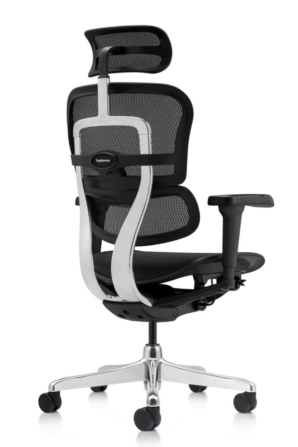 Scaun ergonomic Ergohuman (5)