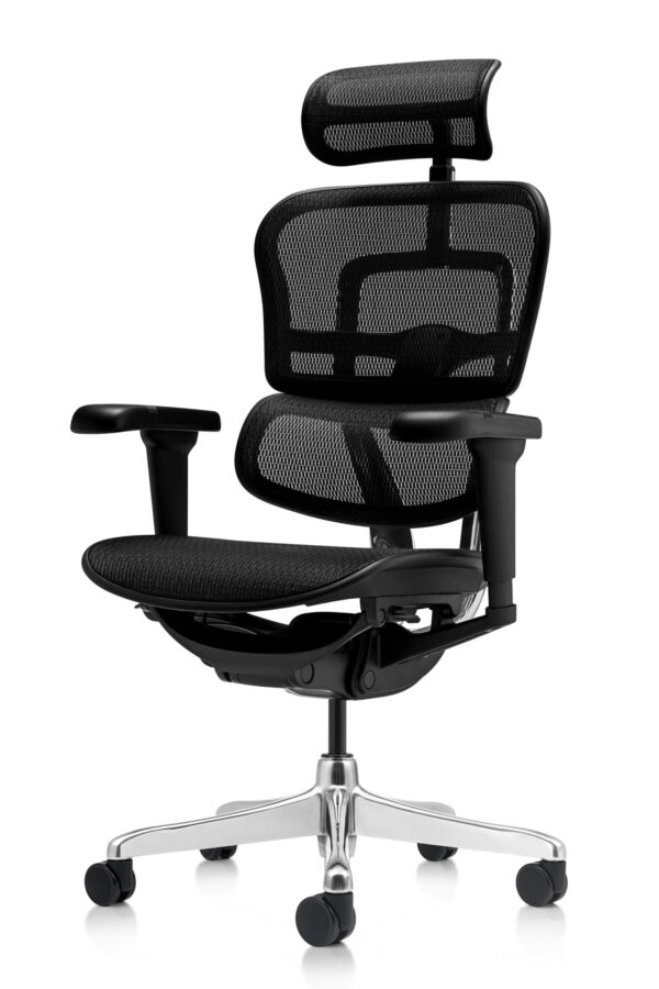 Scaun ergonomic Ergohuman (7)
