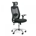 scaun ergonomic 30.12.26 negru
