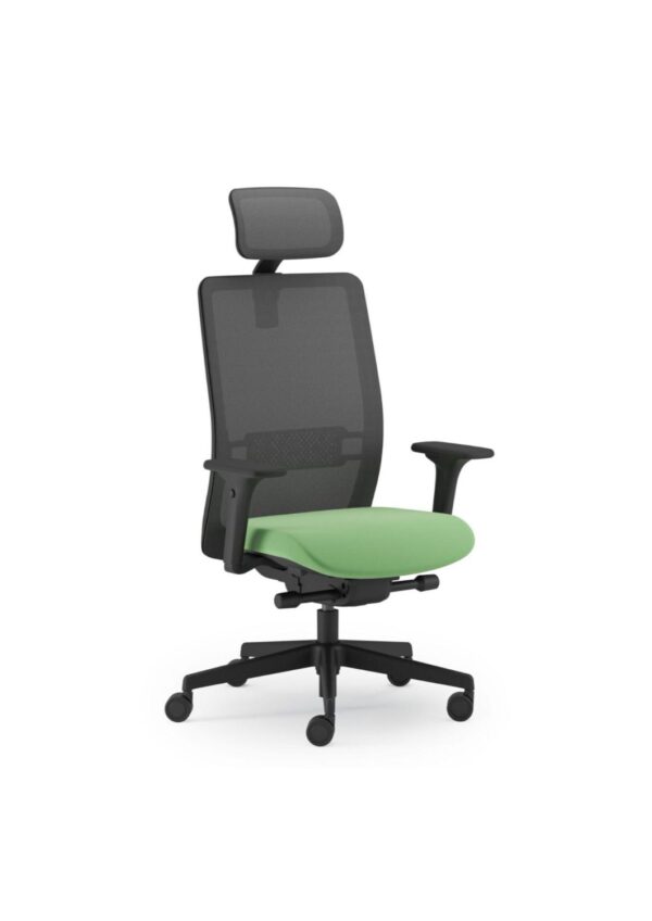 scaun ergonomic 301212 (1)