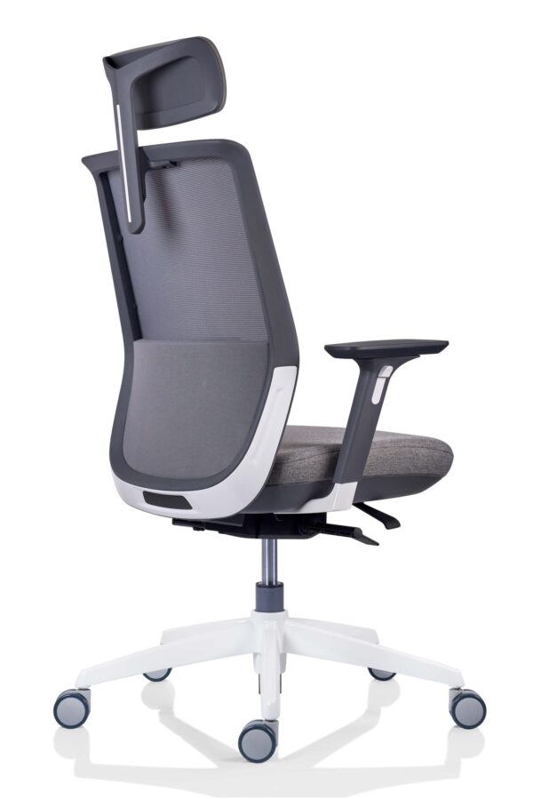 Scaun ergonomic Tesla (3)
