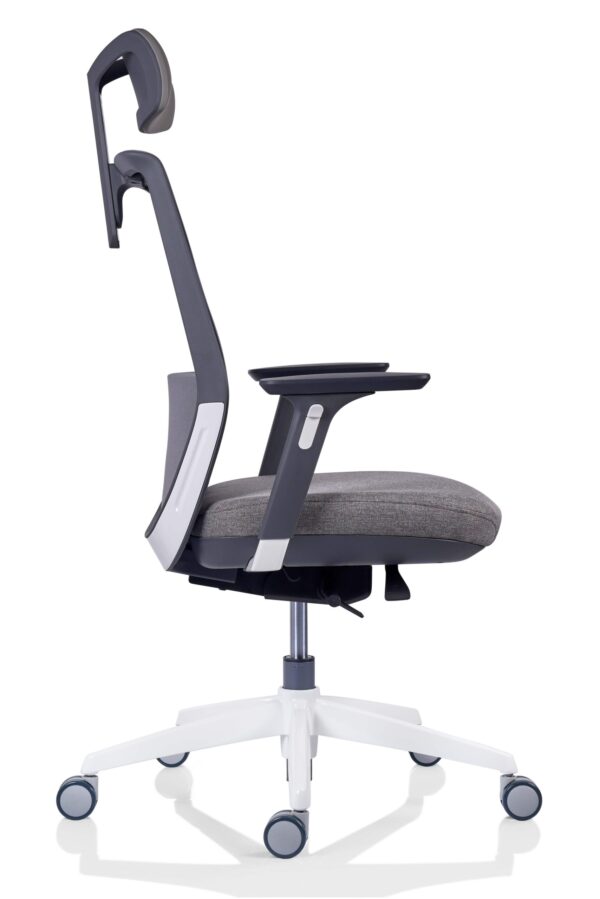 Scaun ergonomic Tesla