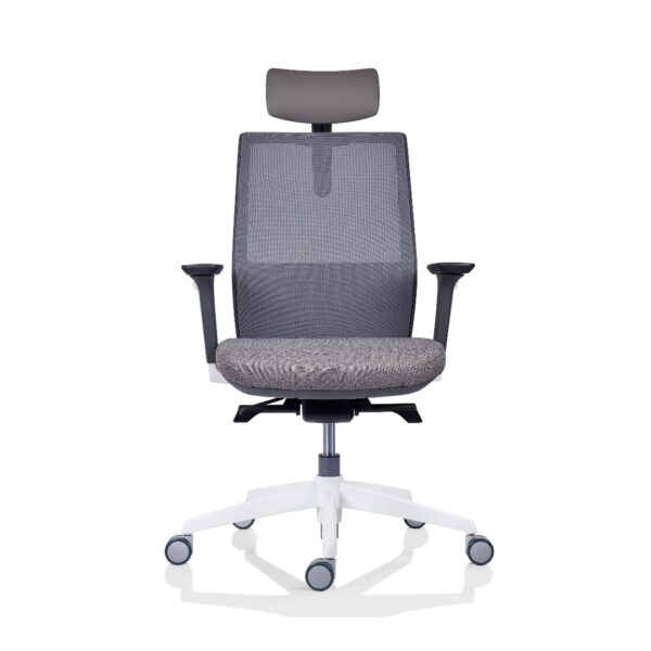 Scaun ergonomic Teslaa