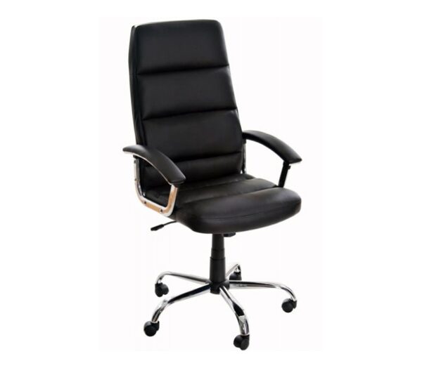 Scaun_directorial_30_11_14