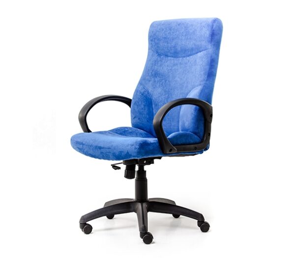 Scaun_directorial_30_11_16