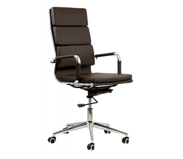 Scaun_directorial_30_11_27