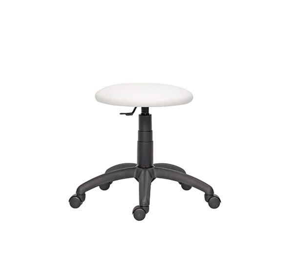 Scaun_profesional_30_18_13