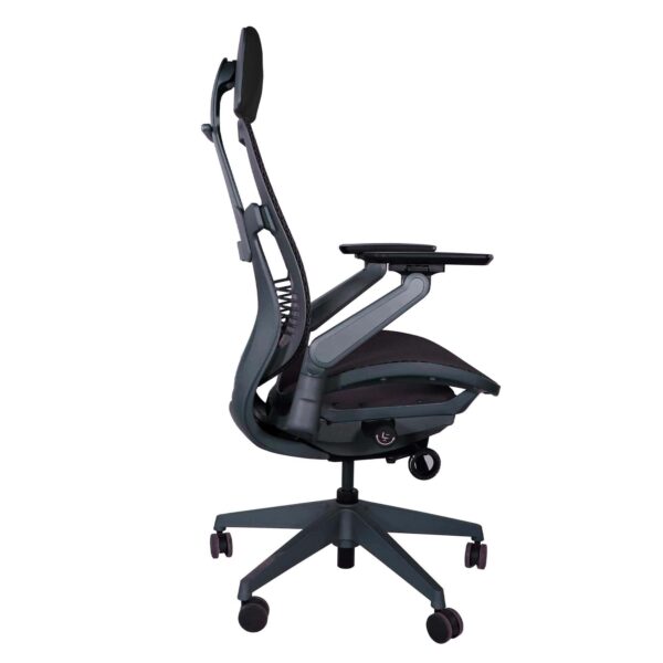 ergostar2-min ergostar2-min